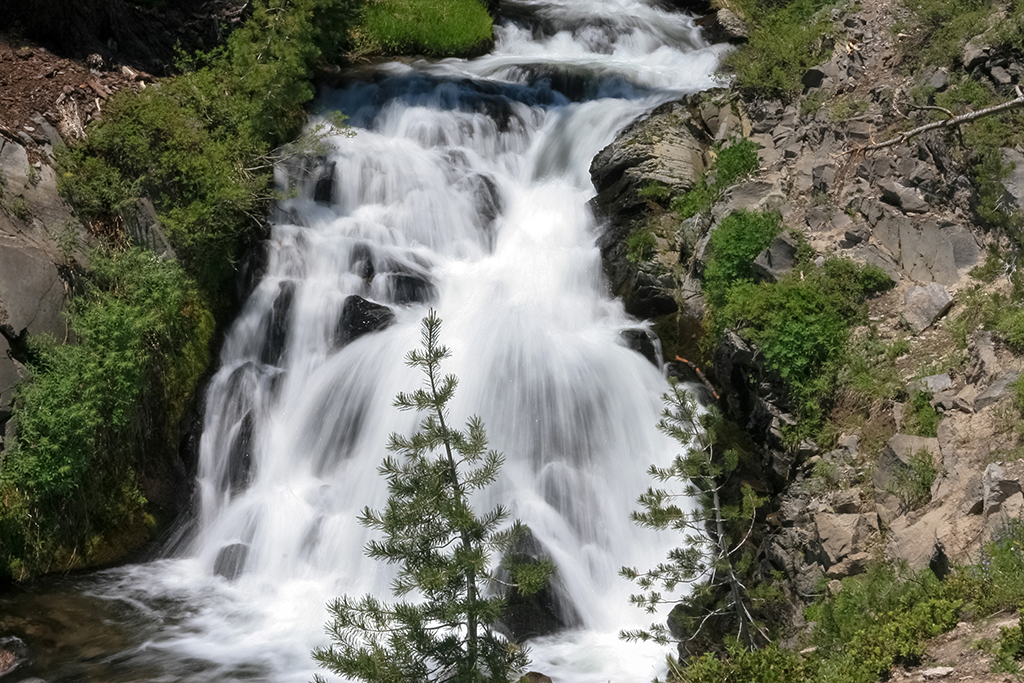 06-27 - 11.JPG - Lassen Volcanic National Park, CA